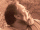 2774.gif