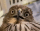 3611.gif